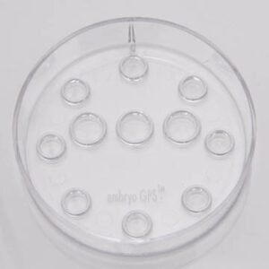 Embryo GPS 10 pcs